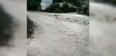 Artvin'de sağanak etkili oldu