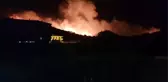 Balıkesir Ayvalık'ta orman yangını çıktı! İtfaiye ekiplerinin müdahalesi sürüyor