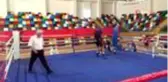 Eyüp Gözgeç'ten boks mili takımına övgü