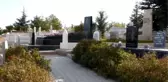 Neşet Ertaş, ölümünün 8. yılında anılıyor