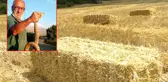 Korkusuz çiftçi, kendisine saldıran zehirli engerek yılanını elleriyle yakaladı