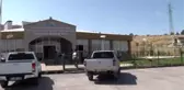 Van'da ölmek üzereyken bulunan köpek tedavi edildi