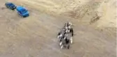 Son dakika haber... Elazığ'da firar eden hayvanlar, 7 kilometre uzakta drone ile bulundu