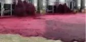 Şarap tankı patlayınca çevre kırmızıya boyandı! O anlar kamerada