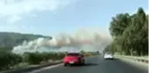 Zeytinlik ve makilik alanda yangın çıktı