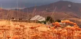 Baksı Müzesi 
