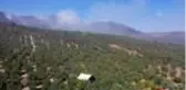 Son dakika haberi... Mudanya'da ormanlık alanda çıkan yangın kontrol altına alındı