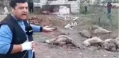 Ermenilerin vurduğu yerleşim yerinden gelen görüntüler dehşete düşürdü