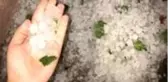 Ayvalık ve Burhaniye'yi dolu vurdu, hasar tespit çalışmaları başladı