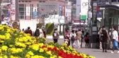 Çin'de Güz Ortası Festivali