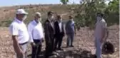 Fıstık veriminin artırılması amacıyla çiftçilere eğitim