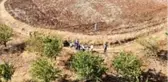Koyun otlattıkları dağları badem bahçesine çevirdiler
