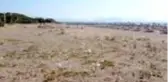 Muğla'da 