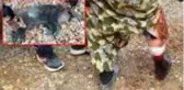 Domuz saldırısına uğrayan kadın kanlar içerisinde kaldı