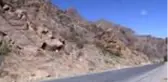 Sürü halinde yaban keçileri görüntülendi