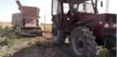 Nevşehir'de fasulyeye yönelen çiftçinin yüzü güldü
