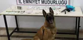 Uyuşturucular narkotik köpeği Sarik'e takıldı