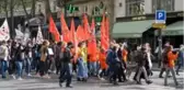 Paris'te kürk karşıtları ve hayvan hakları savunucularından eylem