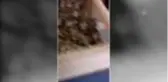 Tuzakla saka kuşu avlayan baba ve oğluna 91 bin 350 lira ceza