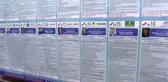 Kırgızistan'da 4 siyasi parti meclise girmeyi başardı