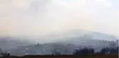 Bolu'da yangında zarar gören 40 hektarlık alan ağaçlandırılacak