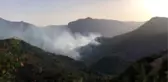 Gündoğmuş'ta çıkan orman yangını kontrol altına alındı