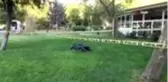 Diyarbakır'da parkta erkek cesedi bulundu