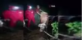 Su kanalına düşen inek kurtarıldı