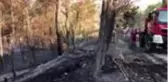 Son dakika haberi... Orman yangını kontrol altına alındı