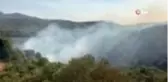 Son dakika haberi | Yangında zeytin ağaçları kül oldu
