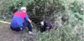 Büyükbaş hayvanı dolandığı otlardan kurtarmak kolay olmadı