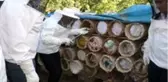 Van'da 6. Geleneksel Organik Karakovan Bal kesimi