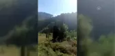 İnebolu'da ormanlık alanda çıkan yangın söndürüldü
