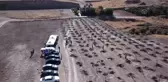 Kahramankazan'dan Hatay'da yanan ormanlık alanın ağaçlandırılması için kampanya