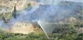 Son dakika haberleri! - Samandağ'da bitki örtüsü yangını