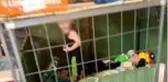 18 aylık çocuğu hamam böcekleriyle aynı kafeste yatıran aile: Kafes evimizden daha temiz