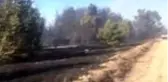 Orman ve örtü yangını kontrol altına alındı