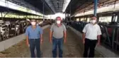 Süt üreticileri, fiyat artışı istiyor