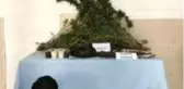 Tekirdağ'da Hint keneviri operasyonu