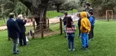 Kemalettin Tuğcu vefatının 24'üncü yılında anıldı