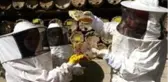 Gevaşlı kadınlar bal hasadı yaptı