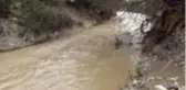 Sarıgöl'de sağanak ve dolunun ardından hasar tespit çalışması başladı