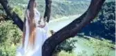 Gerçek Rapunzel Almanya'da bulundu: 16 yaşından beri saçını uzatıyor