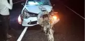 Şanlıurfa'da trafik kazası: 2 ölü