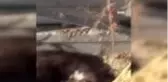 Çarpılan sansarı topraklama kurtardı
