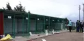 Sinop'ta can dostlar için 