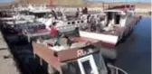 Sıkı denetimler inci kefalinin boyunu uzattı