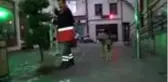 Bekçi köpeği, belediye temizlik işçisinin can dostu oldu