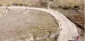 Türkiye Kros Şampiyonası