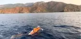 29 kilometrelik mesafeyi 12 saatte yüzdü